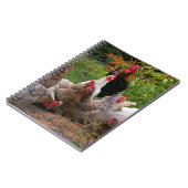 Poules de poulets de basse cour et carnet drôles (Côté gauche)