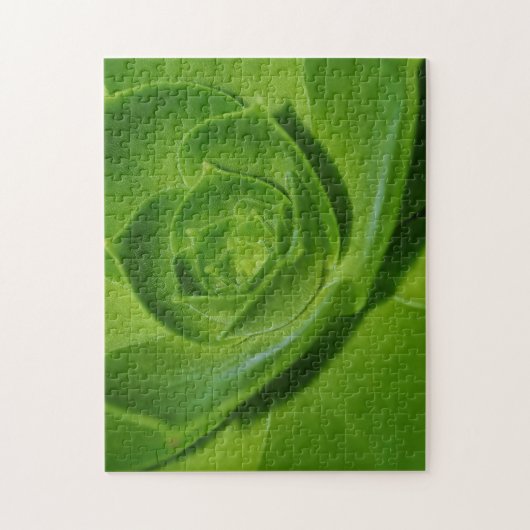Poules et poussins Succulents Cactus Puzzle vert (Vertical)