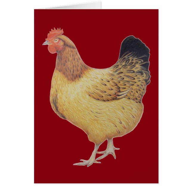 Poulet 2012 (Devant)