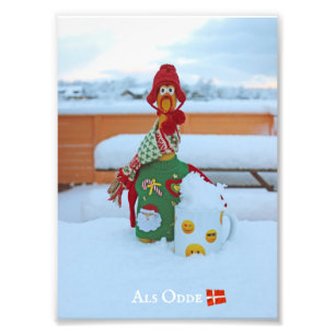 Poulet amusant à Als Odde/Danemark Photo Imprimer!