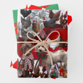 POULET AVEC BROCHONS DE SANTA ET PAPIER DE CUISSON (En situation)