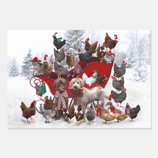 POULET AVEC SANTA HATS ET CHIENS PAPIER À L'EMBALL (Devant)
