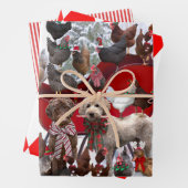 POULET AVEC SANTA HATS ET CHIENS PAPIER À L'EMBALL (En situation)