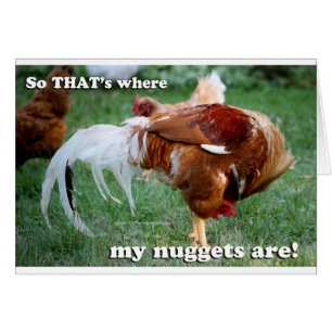 Poulet - Coq
