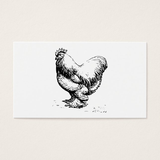 Poulet de Cochin (Devant)