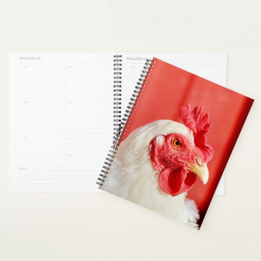 Poulet de ferme (Devant avec enveloppe)