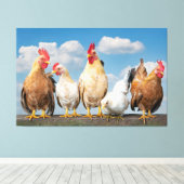 Poulet de ferme sur toile nuageuse de jour d'été P (Insitu (Plancher de Bois))