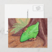 Poulet de la carte postale Plante (Devant / Derrière)