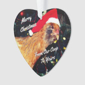 Poulet de Noël (devant)