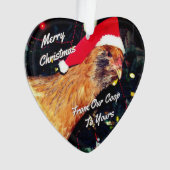 Poulet de Noël (devant)