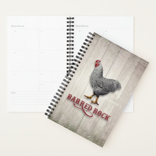 Poulet de roche barrée (Devant avec enveloppe)