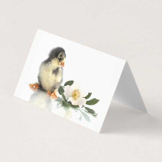 poulet drôle · Cartes de Visite Pliées (Devant)