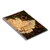 Poulet du Carnet des champignons de bois (Côté Droit)