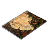 Poulet du Carnet des champignons de bois (Côté gauche)