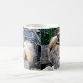 Poulet Laide, Mug De Café (Centre)