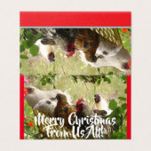 Poulet Les Coqs Joyer De Nous Toutes Les Cartes De (Outside Unfolded)