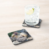 Poulet moche, Dessous de verre (Côté Droit)