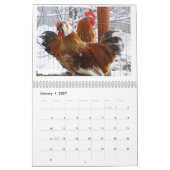 Poulet naturel gardant le calendrier 2014 + Bouts (Jan 2027)