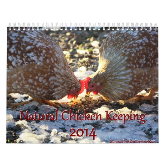 Poulet naturel gardant le calendrier de 2014 (Protection)