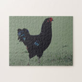 Poulet noir dans le puzzle d'art de l'herbe (Horizontal)
