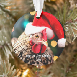 Poulet Sussex tacheté à Noël de Noël