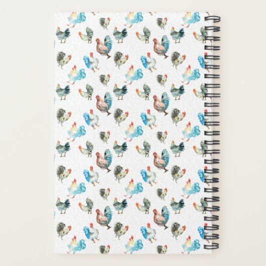 Poulets Amateurs De Poules De Pays (Dos)