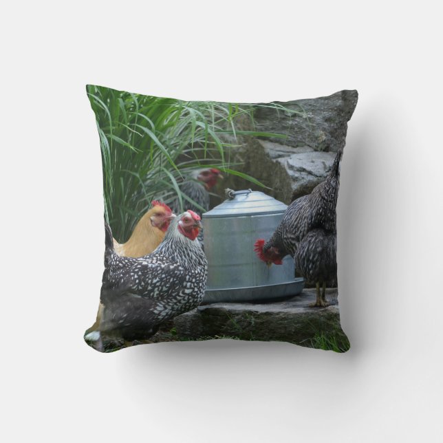 Poulets Au Coussin Glacière D'Eau (Recto)