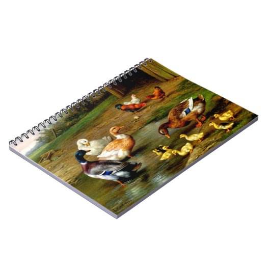 Poulets, Canards Et Canards Au Carnet Agricole (Côté gauche)