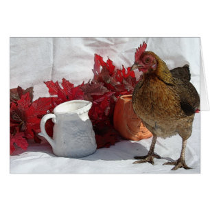 Poulets d'automne