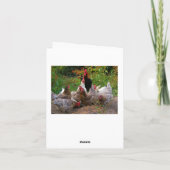 Poulets de basse cour et carte de note drôles de (Dos)