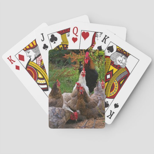 Poulets de basse cour et cartes de jeu drôles de (dos)