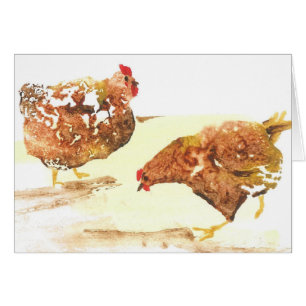 Poulets d'élevage