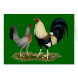 Poulets d'or de Duckwing