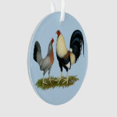 Poulets dorés (devant)
