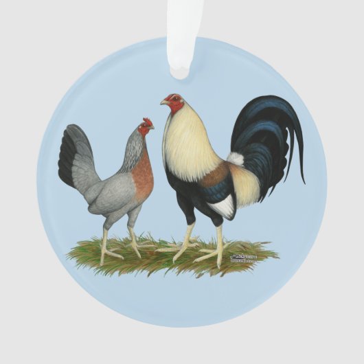 Poulets dorés (devant)