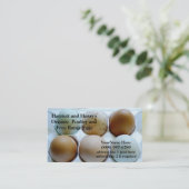 Poulets et cartes de visite organiques d'oeufs (Debout devant)