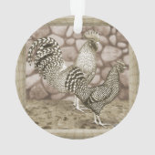 Poulets gris de Californie (dos)