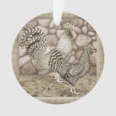 Poulets gris de Californie (devant)