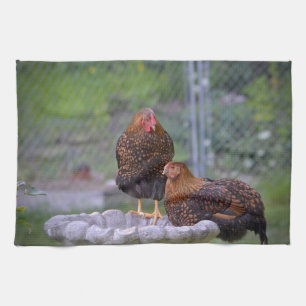 Poulets Sur Bain D'Oiseau Serviette De Cuisine