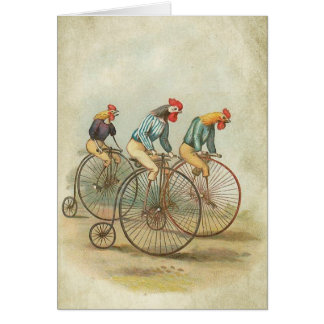Poulets sur vélos Vintages