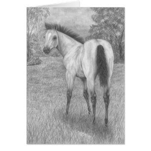 Pouliche de peau de daim