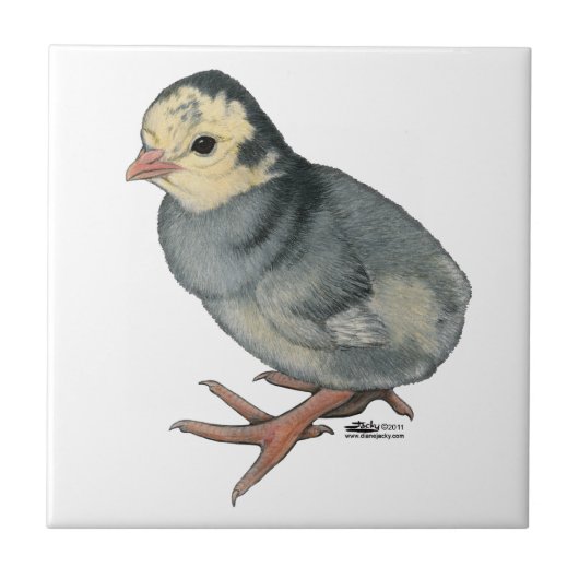 Poult Blue Slate Tegeltje (Voorkant)
