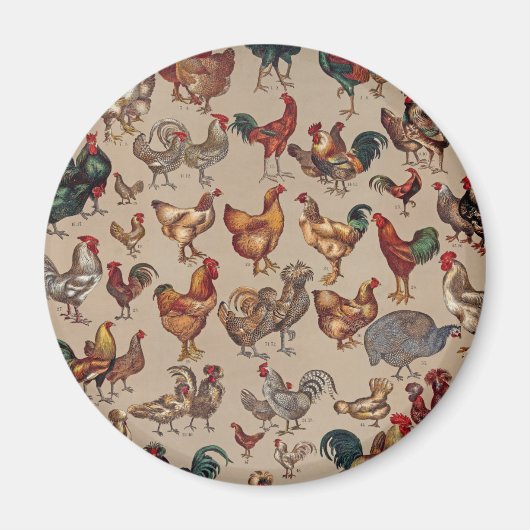 Poultry Rooster Chicken country  art Magneet (Voorkant)