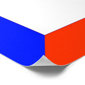 Pouncing Coyote Poster (Hoek)