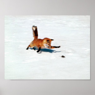 Pouncing Fox Poster
