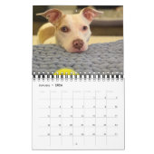 Poundcake en milkshake kalender (Jan 2026)