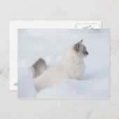 Poupée dans la carte de poste de neige (Devant / Derrière)