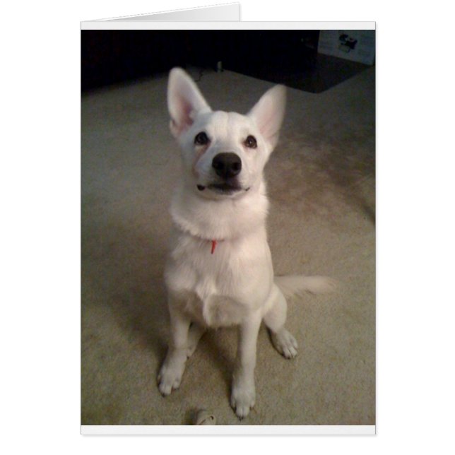 poupée de g blanc (Devant)