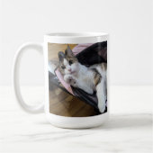 Poupée délicate dans un buggy rose - Mug photo cla (Gauche)