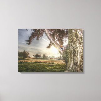 Poupée léopard dans une toile d'arbre